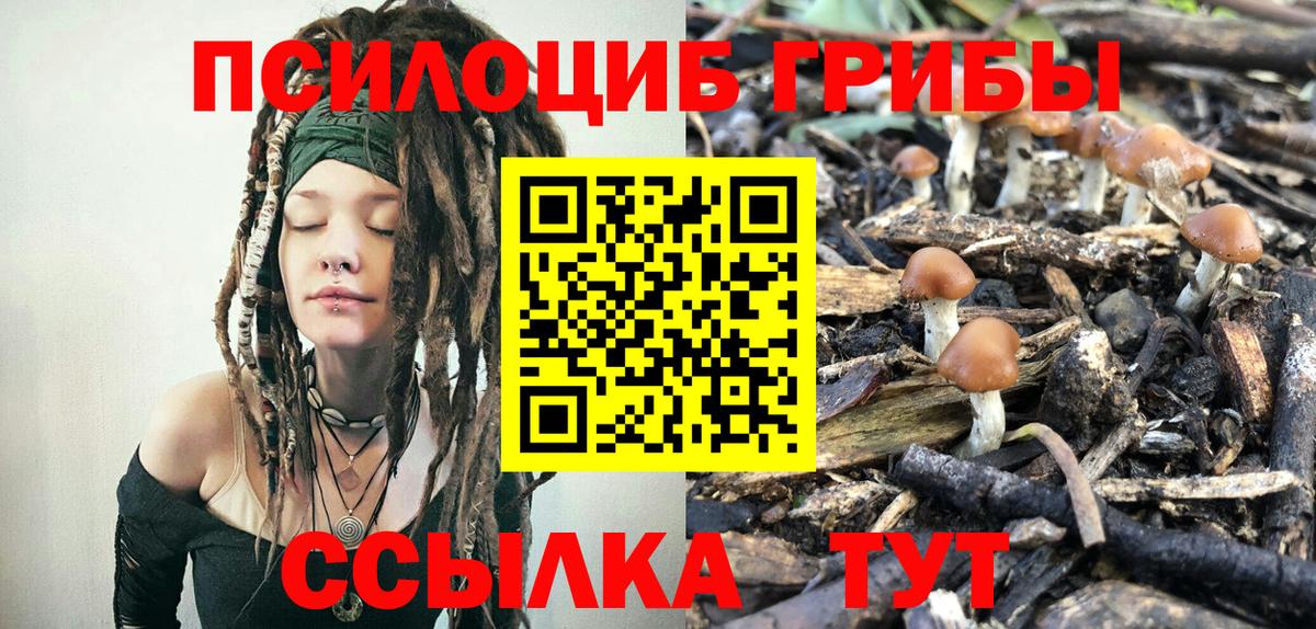 Псилоцибиновые грибы GOLDEN TEACHER Альметьевск